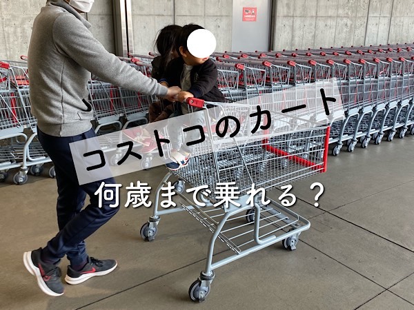 大人が乗れるカーゴート