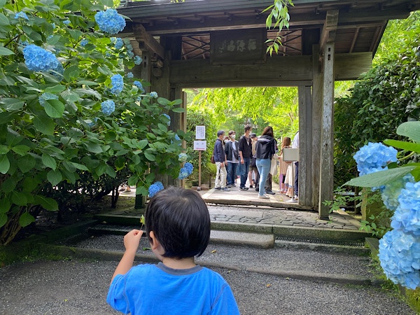 子供と鎌倉観光 子供の足にも優しいモデルコースと意外とシビアなトイレ事情 双子とくらせば