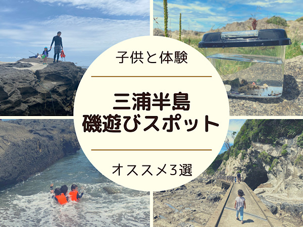 三浦半島の磯遊びスポットおすすめ３選 駐車場 シャワー 朝ごはんスポット情報も 双子とくらせば